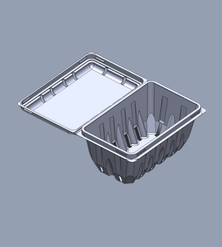 empaques termoformados de pvc y pet para alimentos